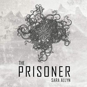 The Prisoner by Sara Allyn